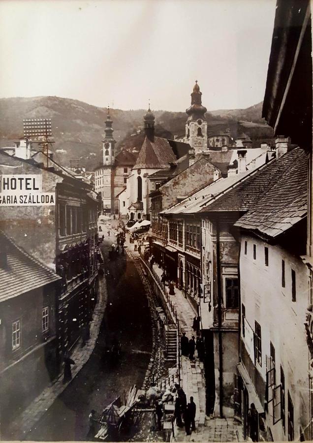 Penzión Rozália Banská Štiavnica Exterior foto